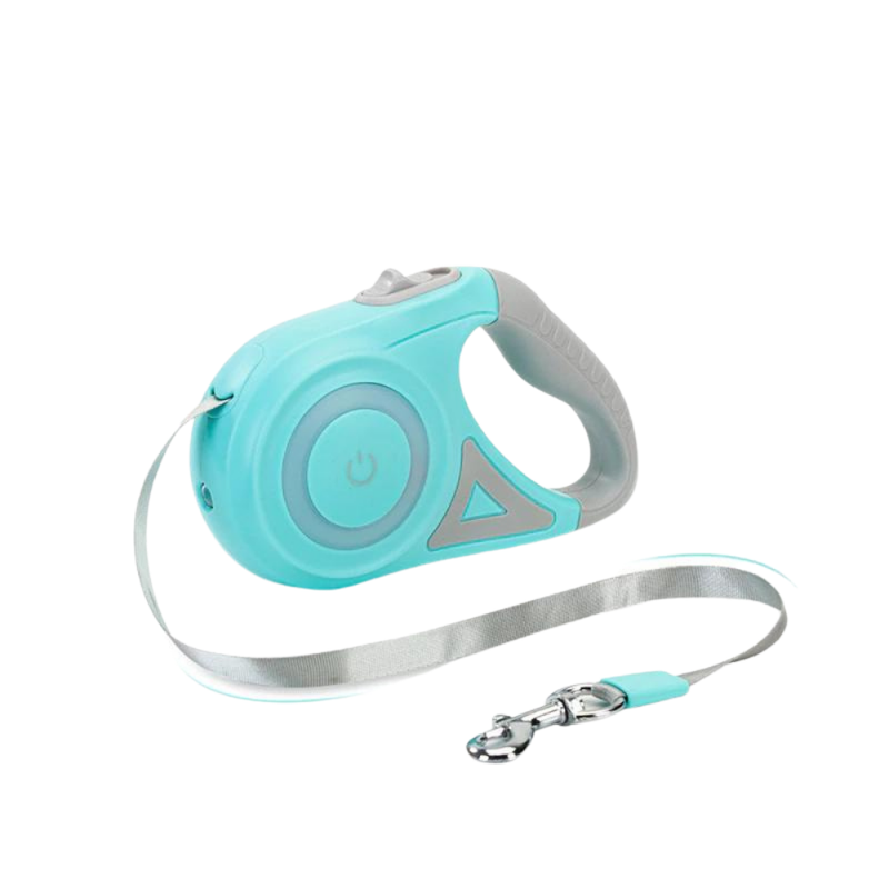 Single dog leash with torch