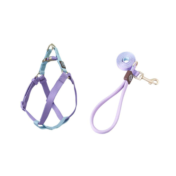 Cotton Candy Buckle-up Harness and Leash - 4 Legged Things