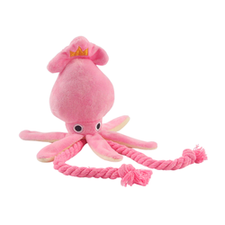Squeaky Squid