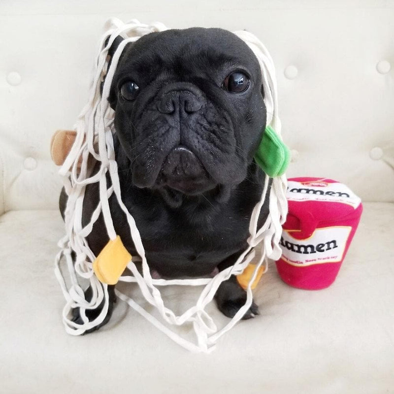 Ramen Cup Noodle Dog Toy