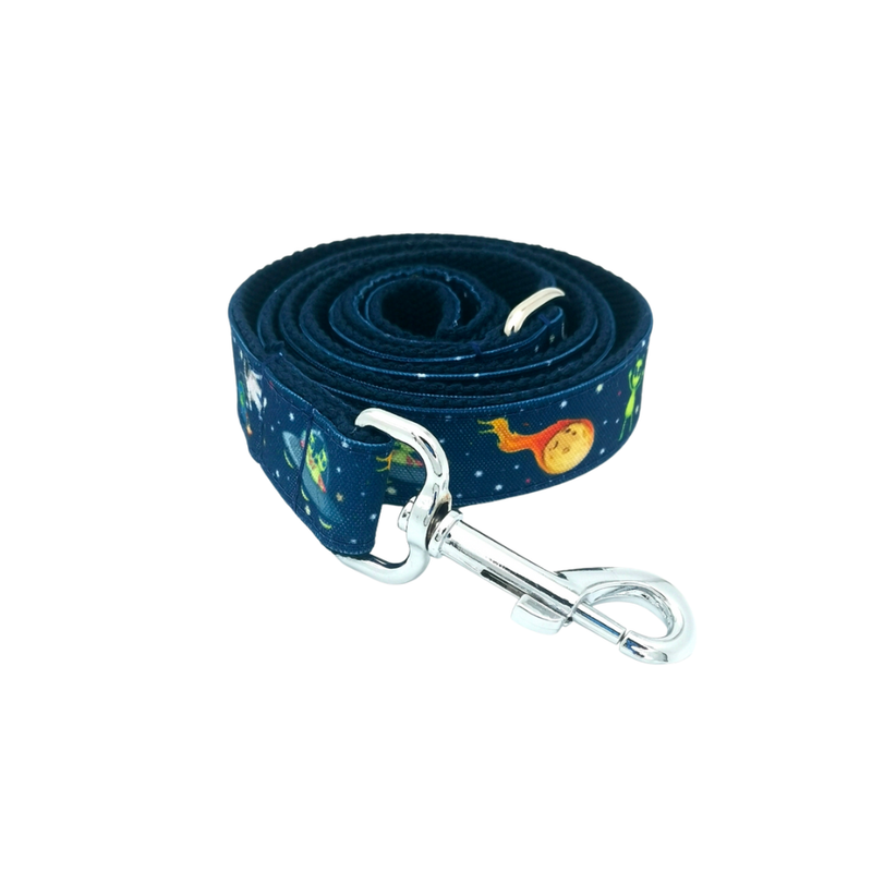 Space Collar and Leash