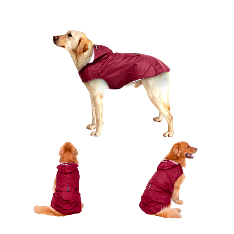Raincoat for large dogs