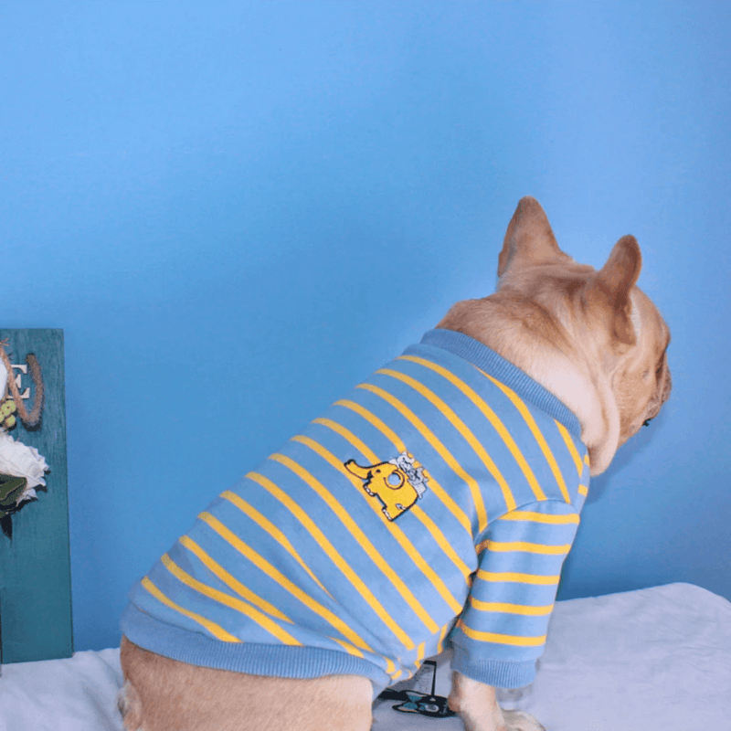Blue/Yellow Striped Shirt