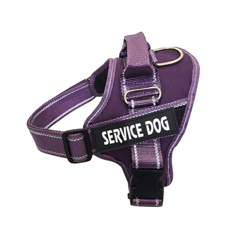 Customisable Reflective Harness