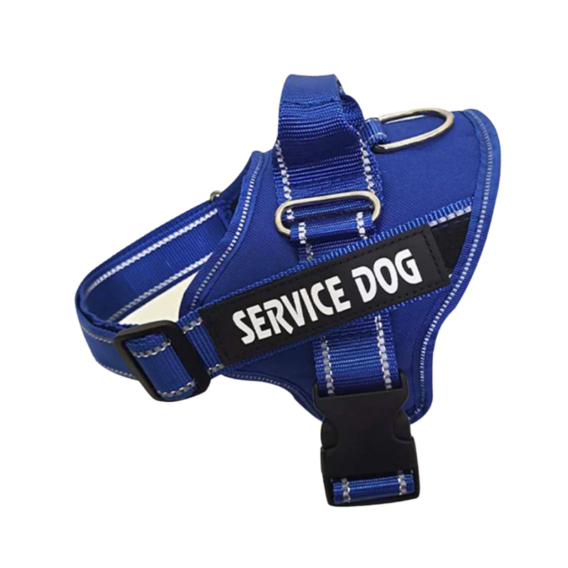 Customisable Reflective Harness