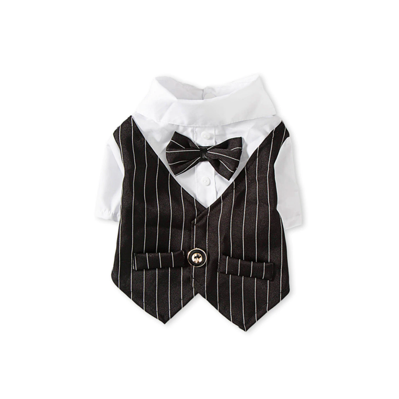 Formal Shirt with Vest and Bowtie