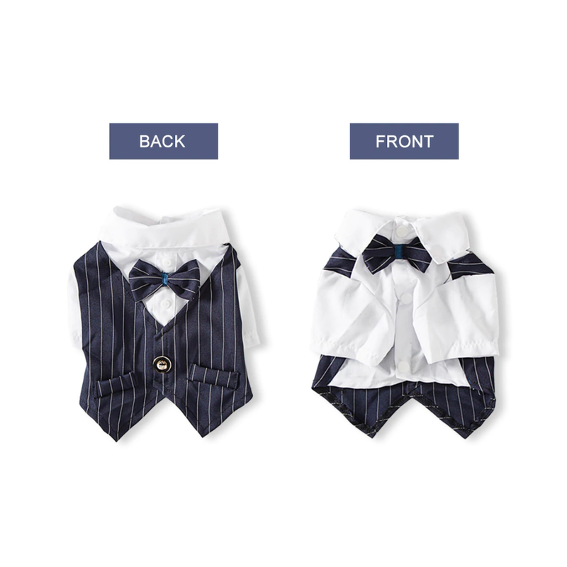 Formal Shirt with Vest and Bowtie