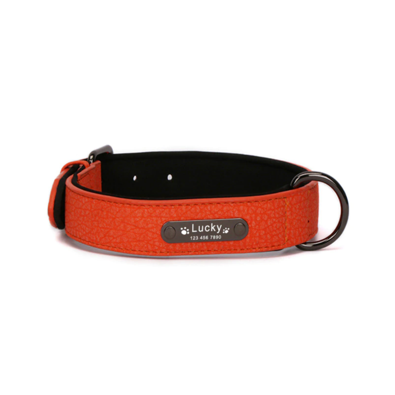 Customisable Leather Dog Collar