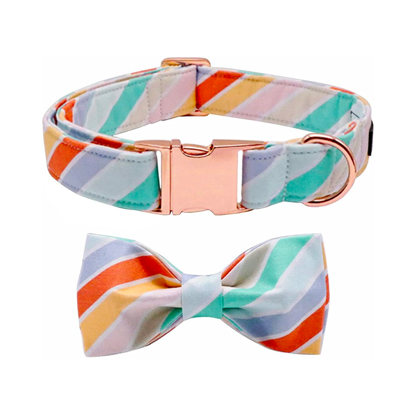 Striped Collar and Bowtie Set