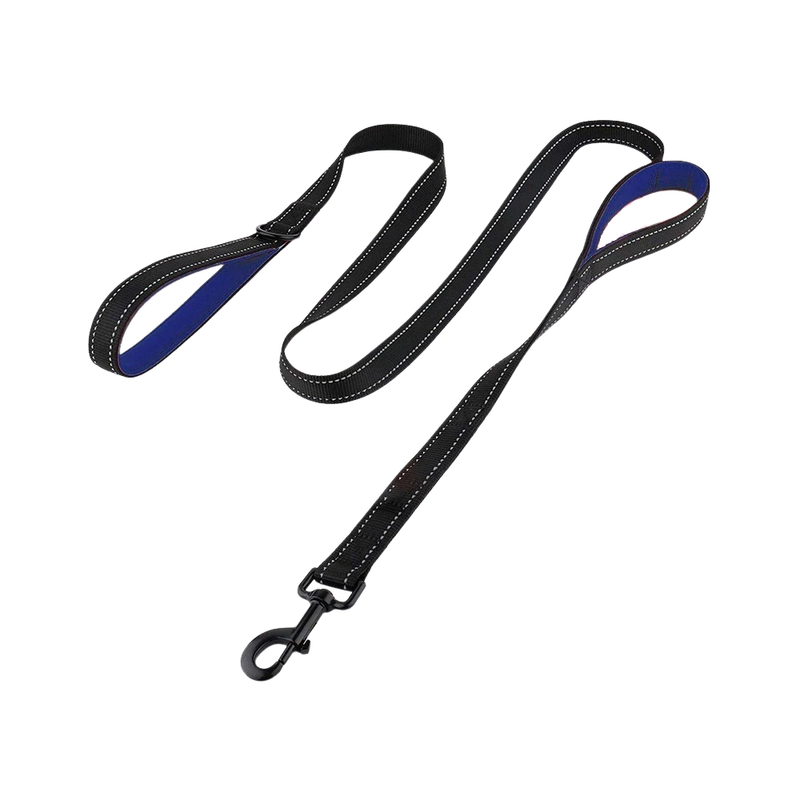 Dual handle leash