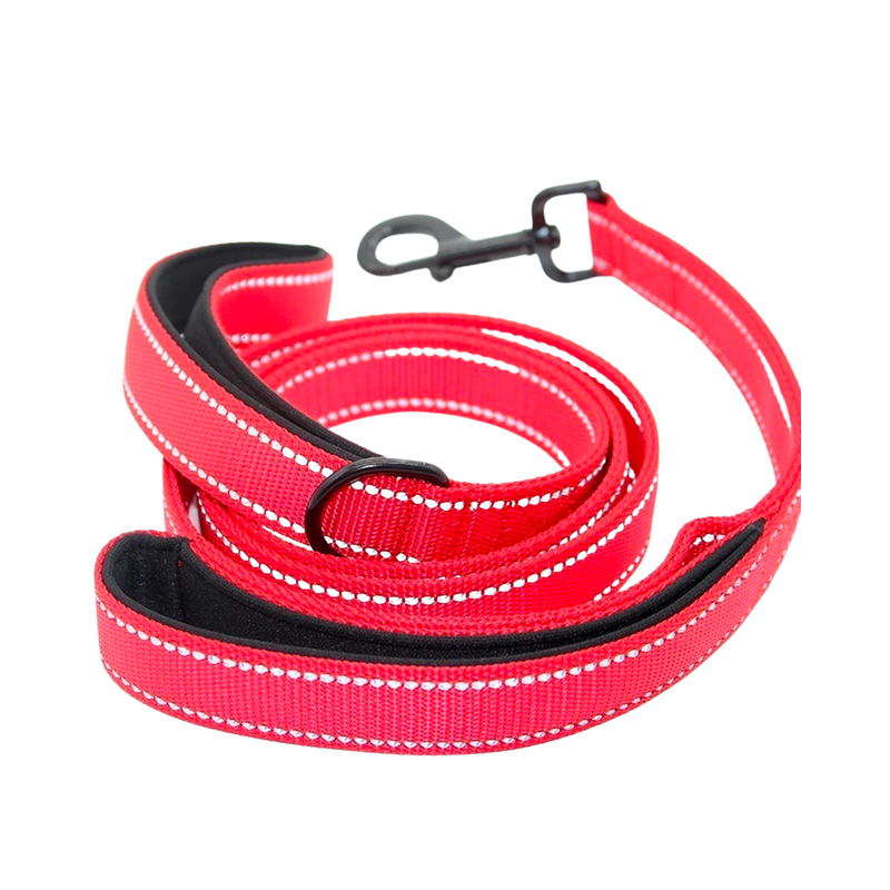 Dual handle leash