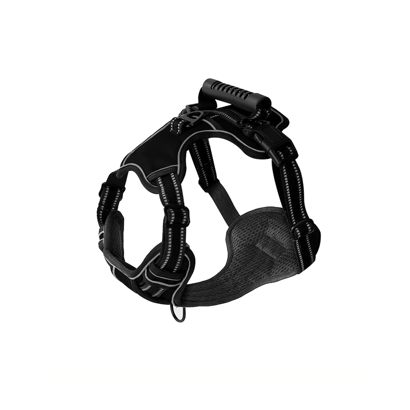 Harness with handle
