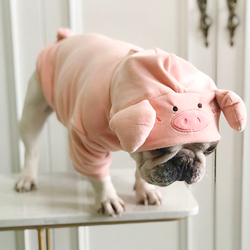Pig onesie