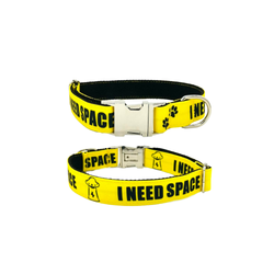 I Need Space collar and leash
