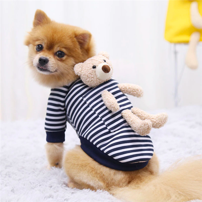 Shirt with Bear Toy