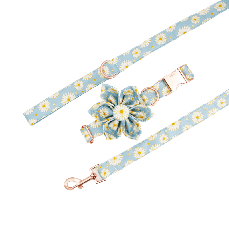 Blue Flower Collar and Leash Set