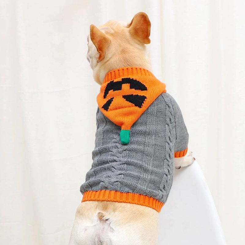 Pumpkin Sweater - 4 Legged Things - Australian Pet Shop