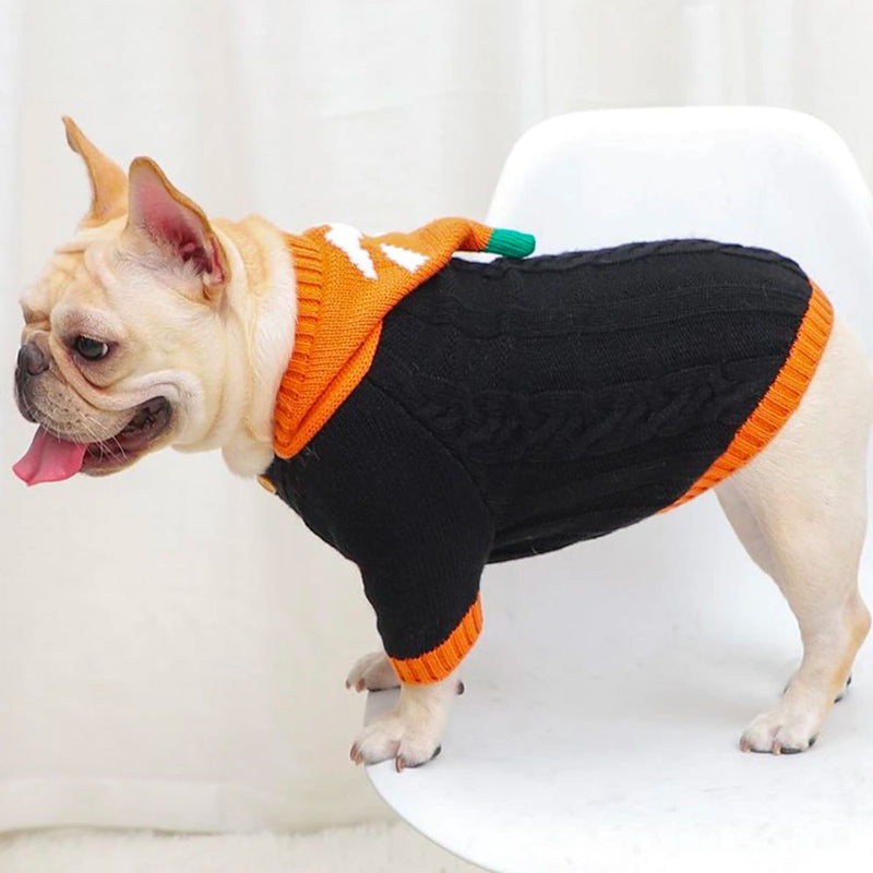 Pumpkin Sweater - 4 Legged Things - Australian Pet Shop