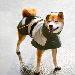 Ultralight Hooded Raincoat - 4 Legged Things - Australian Pet Shop