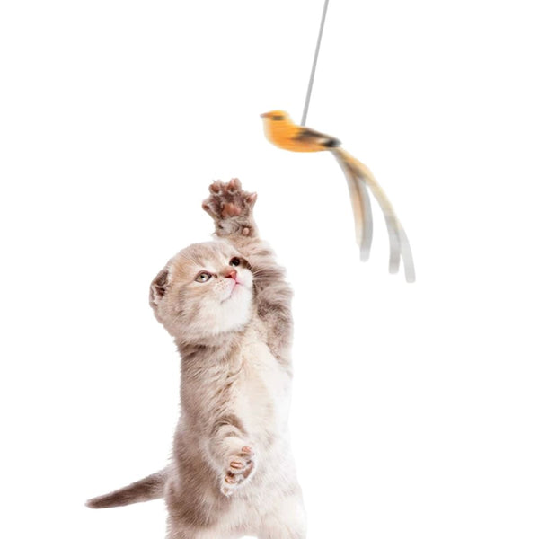 Hanging Retractable Cat Toy