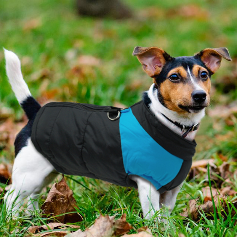 Waterproof Jacket for Dogs