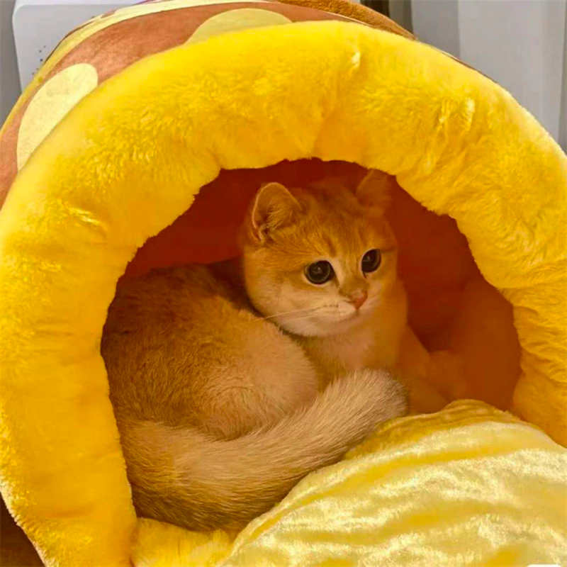 Honey Jar Cat Cave