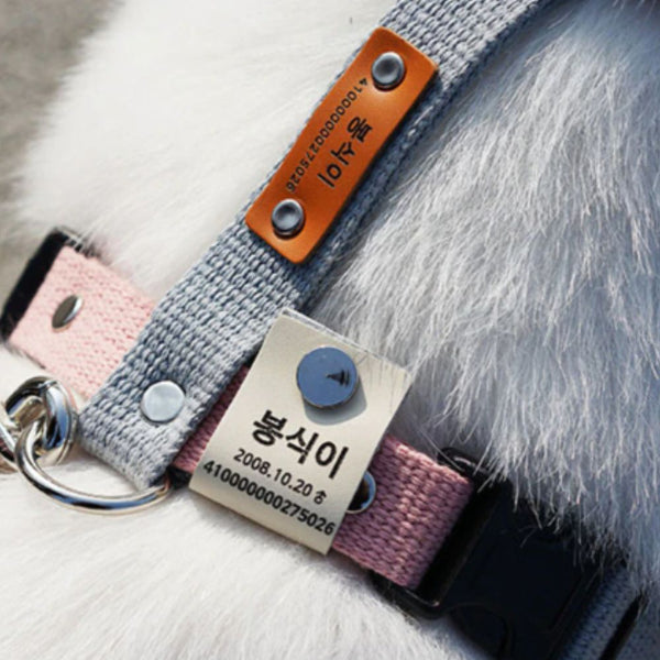 Korean Style Pet Tags - 4 Legged Things