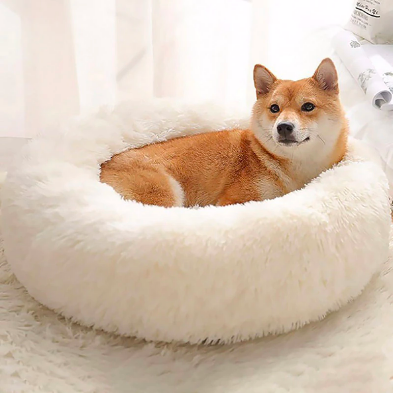 Dog/Cat Bed